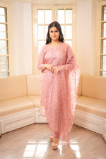 Front view Elegant pink Chikankari organza suit design. Perfect organza kurti set for festive, traditional Indian wear.