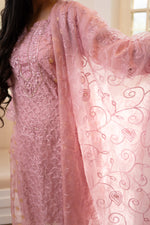 Close-up front Organza net pink chikan suit, detailed embroidery. View designer Indian wear, festive style.