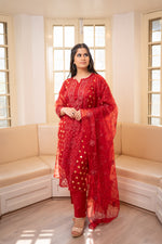 Front view Red organza dupatta suit. View elegant women's ethnic wear, perfect for online shopping.
