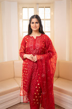 Front view Red Chikankari organza suit. View elegant embroidered organza kurti design, perfect for festive wear.