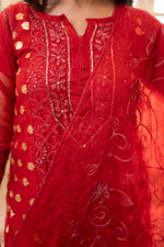Close-up front Organza red Chikan suit. View intricate embroidery, stunning organza fabric for special occasions.