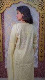 Back view of a Hiba kurti set, featuring traditional Chikankari work and a cooling fabric.